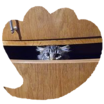 Luke-Kitten-in-drawer.png
